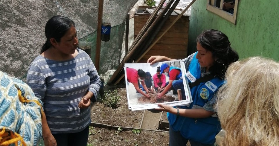  Alimentación Sostenible en el Perú
